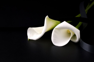 Covid_Deaths_FlowersSM1222052238_iStock-400x267