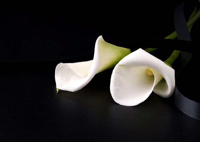 Honoring Family Physicians Lost Due to COVID-19